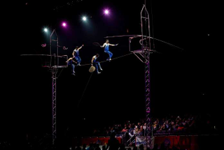Illustration for article titled Ringling Bros. circus to close after 146 years